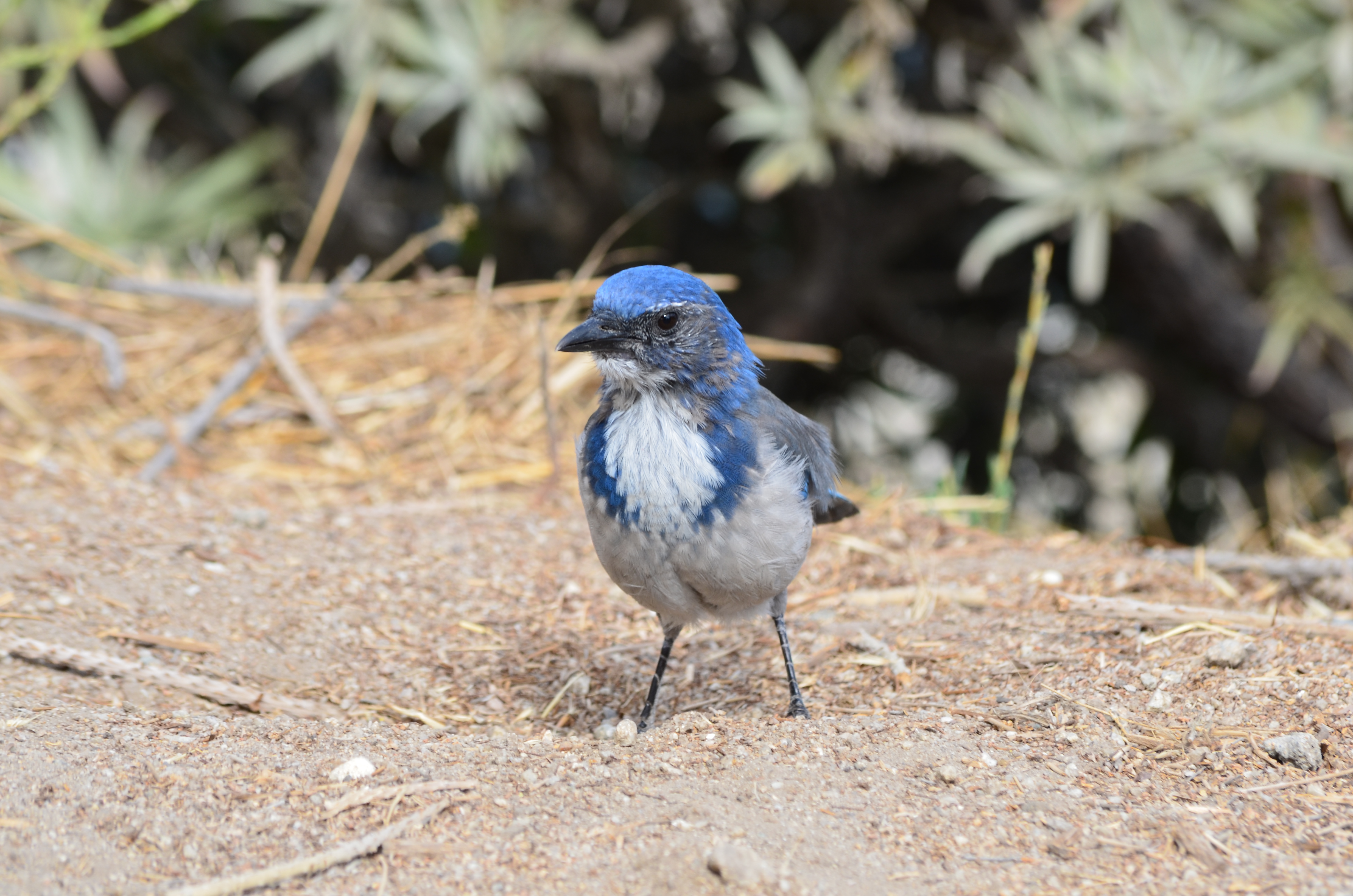 ./2018/09 - San Francisco/ASC_0838.JPG